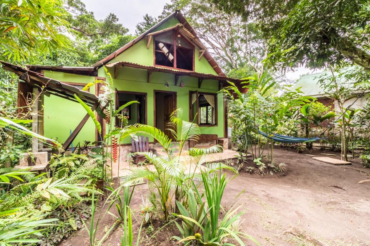 Casa Chilamates Tortuguero Kültér fotó