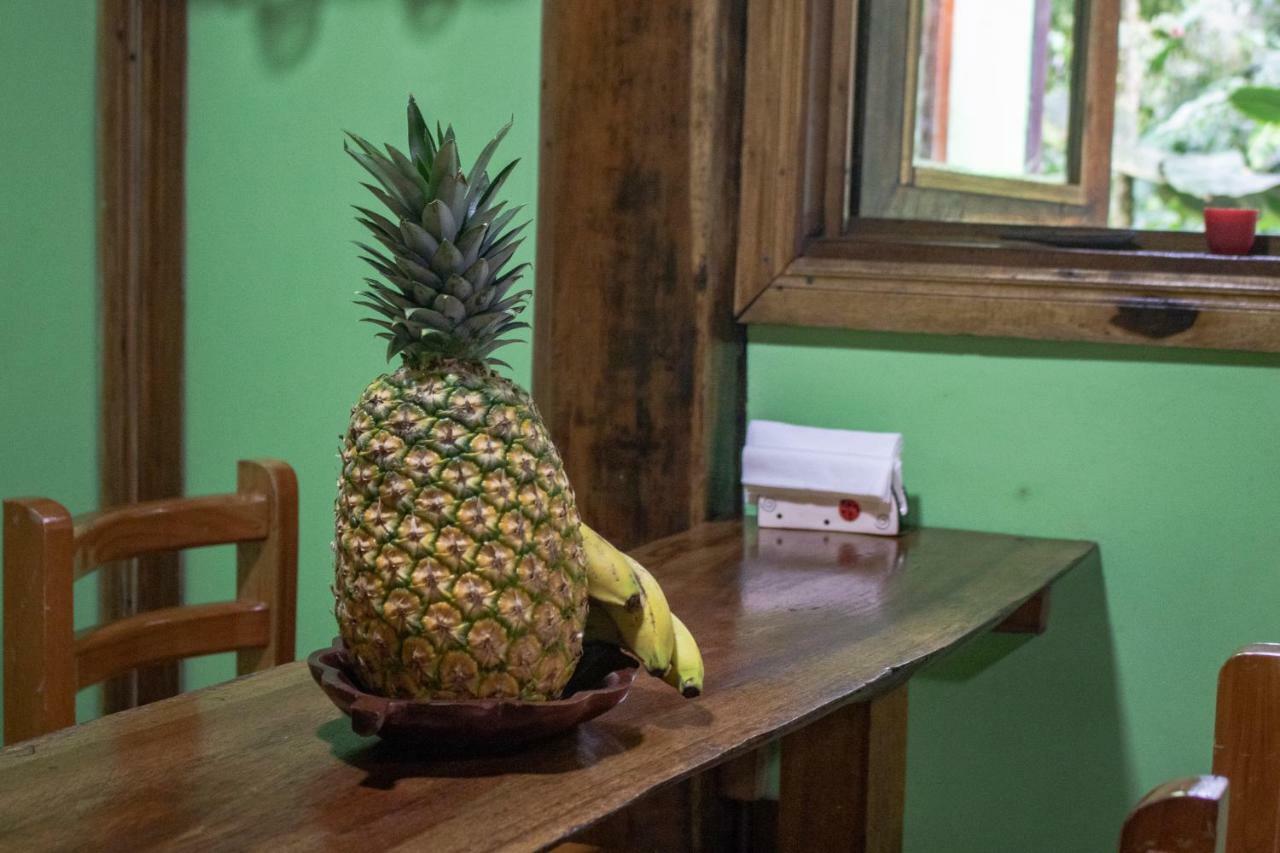 Casa Chilamates Tortuguero Kültér fotó